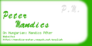 peter mandics business card